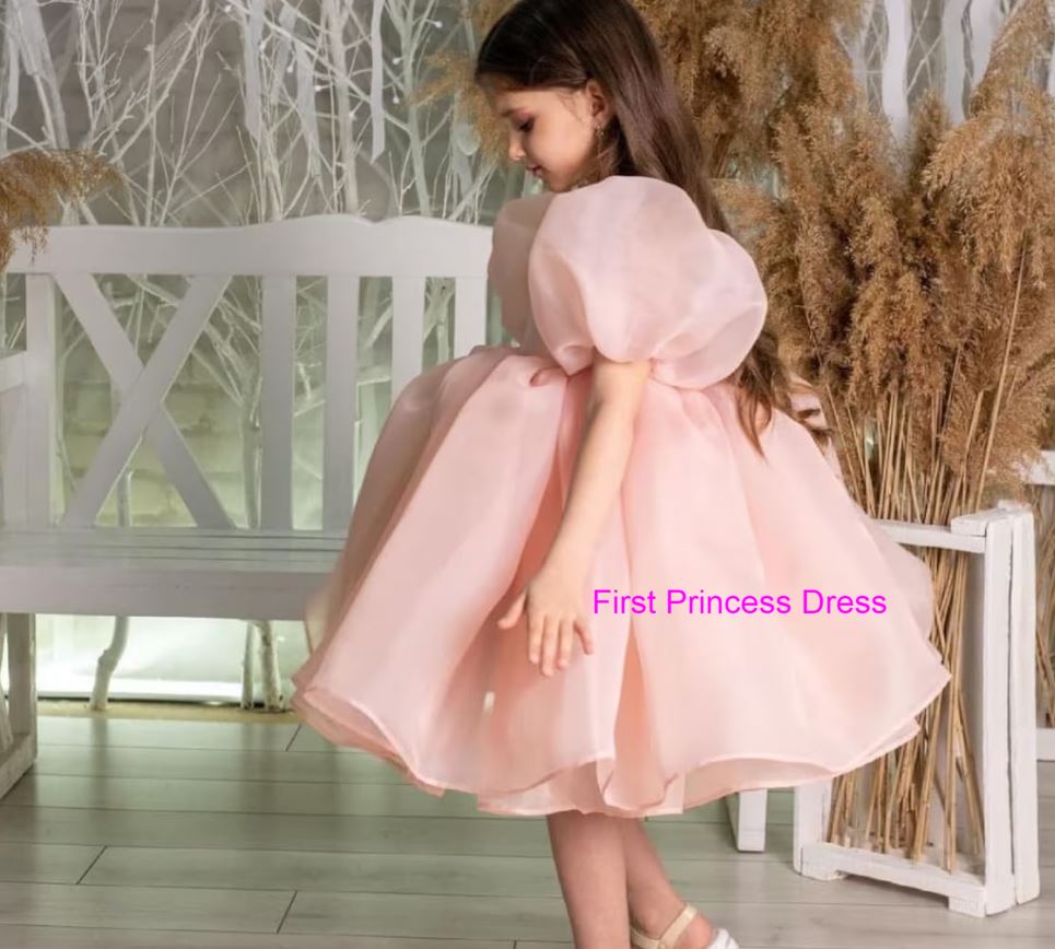 Fluffy Birthday Party Dress